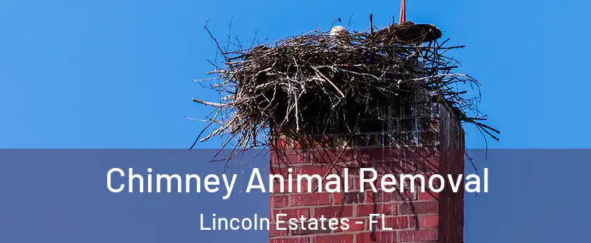 Chimney Animal Removal Lincoln Estates - FL