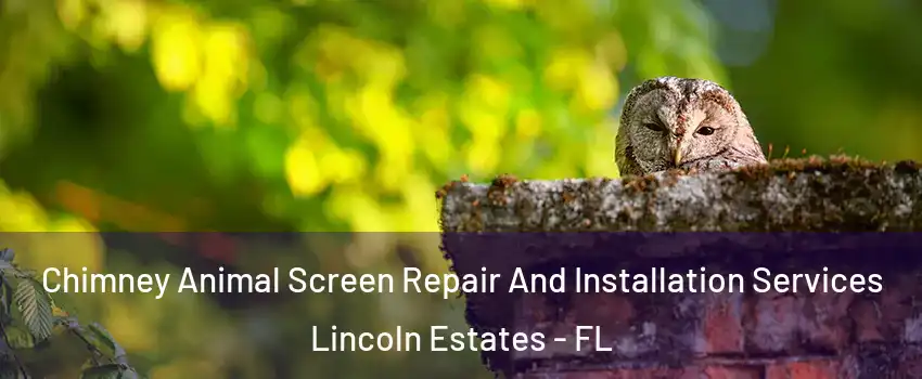 Chimney Animal Screen Repair And Installation Services Lincoln Estates - FL
