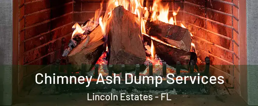 Chimney Ash Dump Services Lincoln Estates - FL