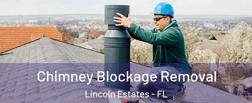 Chimney Blockage Removal Lincoln Estates - FL