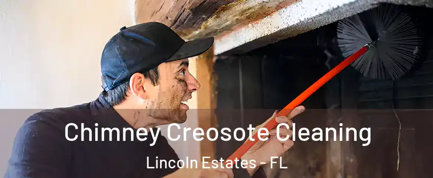 Chimney Creosote Cleaning Lincoln Estates - FL