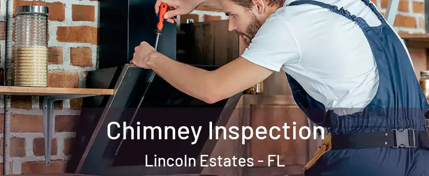 Chimney Inspection Lincoln Estates - FL