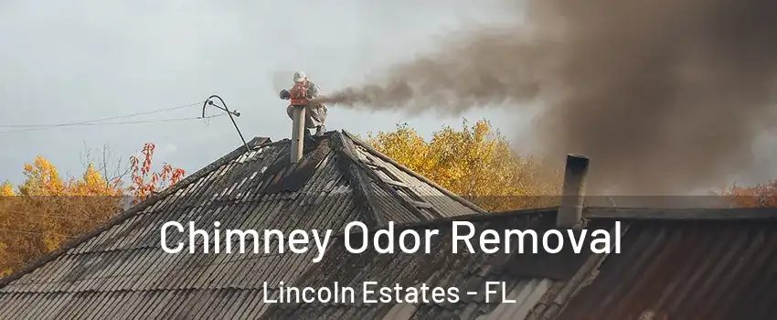 Chimney Odor Removal Lincoln Estates - FL