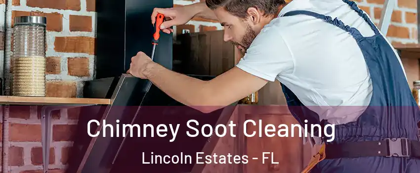 Chimney Soot Cleaning Lincoln Estates - FL