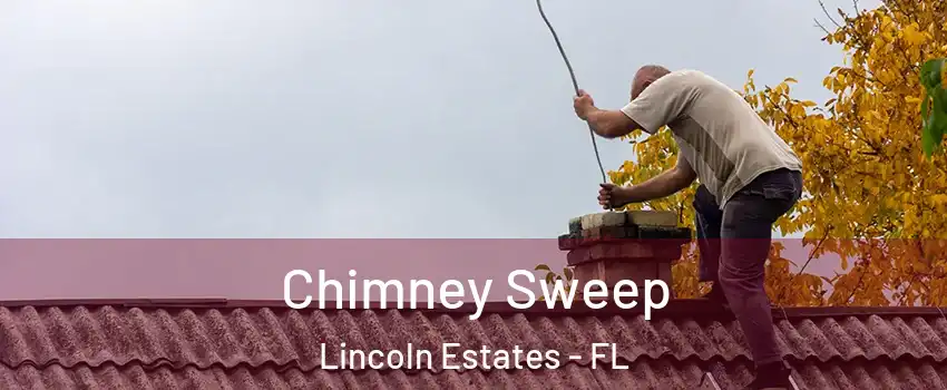 Chimney Sweep Lincoln Estates - FL