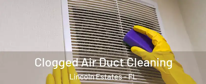 Clogged Air Duct Cleaning Lincoln Estates - FL