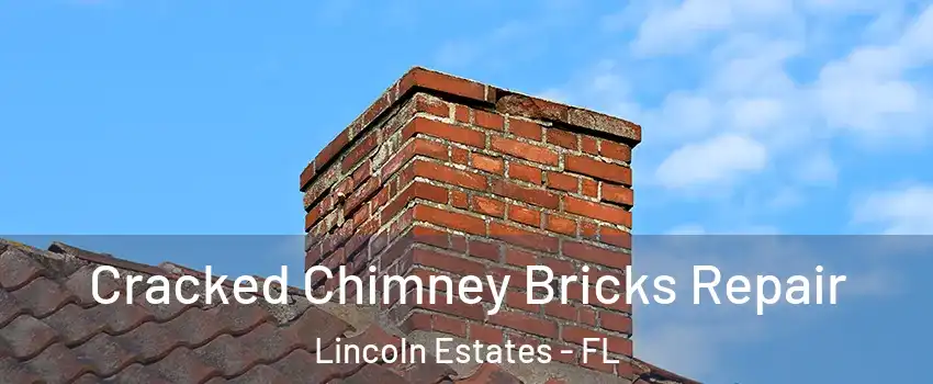 Cracked Chimney Bricks Repair Lincoln Estates - FL