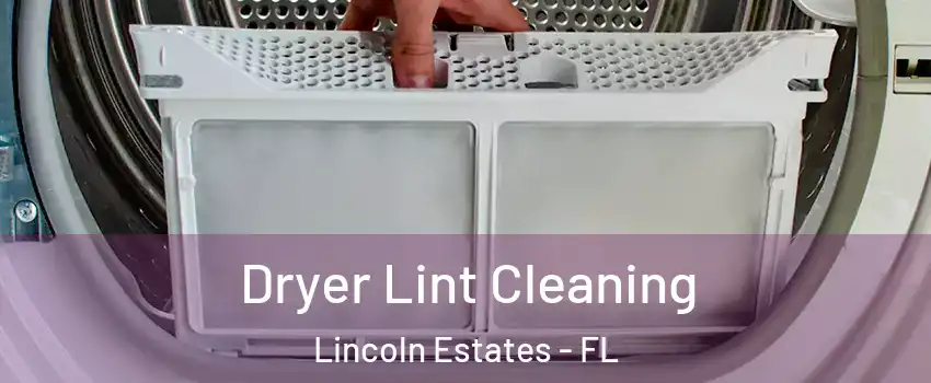 Dryer Lint Cleaning Lincoln Estates - FL