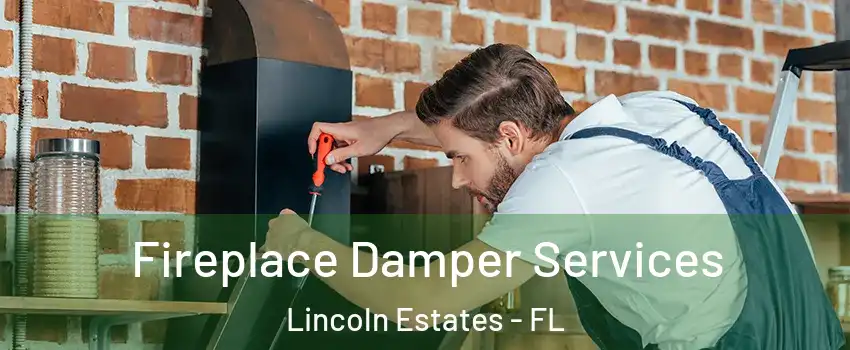 Fireplace Damper Services Lincoln Estates - FL