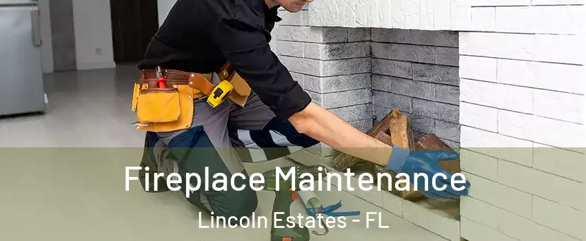 Fireplace Maintenance Lincoln Estates - FL