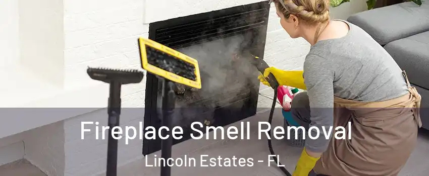 Fireplace Smell Removal Lincoln Estates - FL