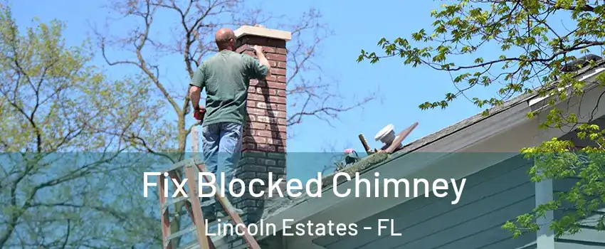 Fix Blocked Chimney Lincoln Estates - FL
