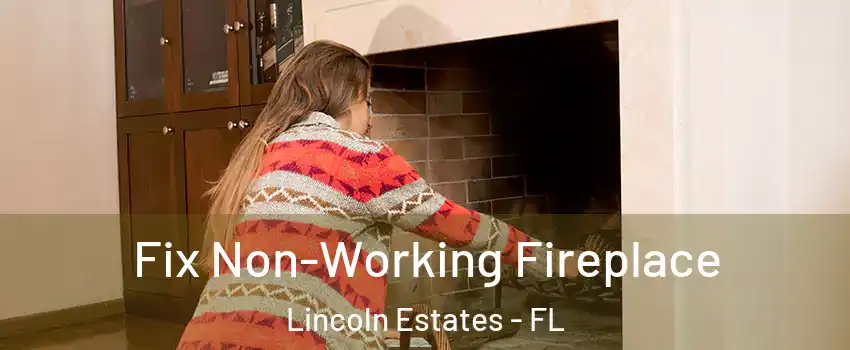 Fix Non-Working Fireplace Lincoln Estates - FL