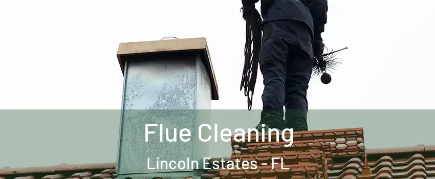 Flue Cleaning Lincoln Estates - FL