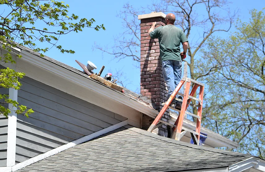 Chimney & Fireplace Inspections Services in Gainesville, FL