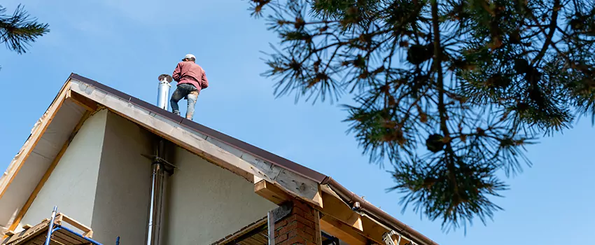 Birds Removal Contractors from Chimney in Lincoln Estates, FL