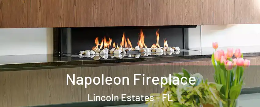 Napoleon Fireplace Lincoln Estates - FL
